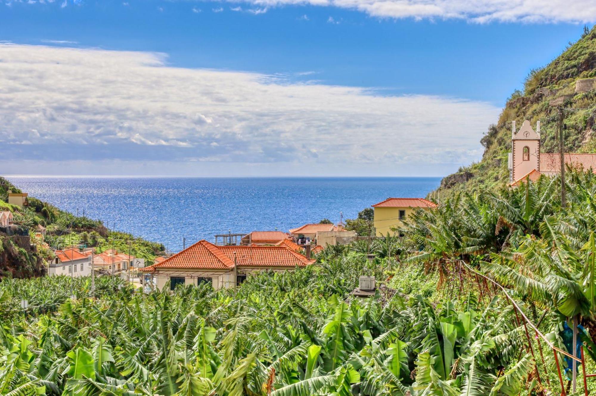 Casa Da Praia, A Home In Madeira 리베이라브라바 외부 사진